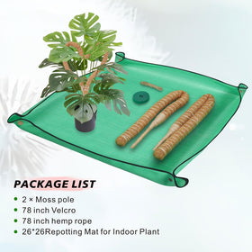 GUIDOT indoor plant stakes ideal for tall varieties like Monstera and pothos