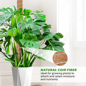 GUIDOT Monstera and pothos vine support kit keeps vines upright