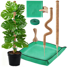 GUIDOT moss pole supports Monstera vines for sturdy indoor climbing
