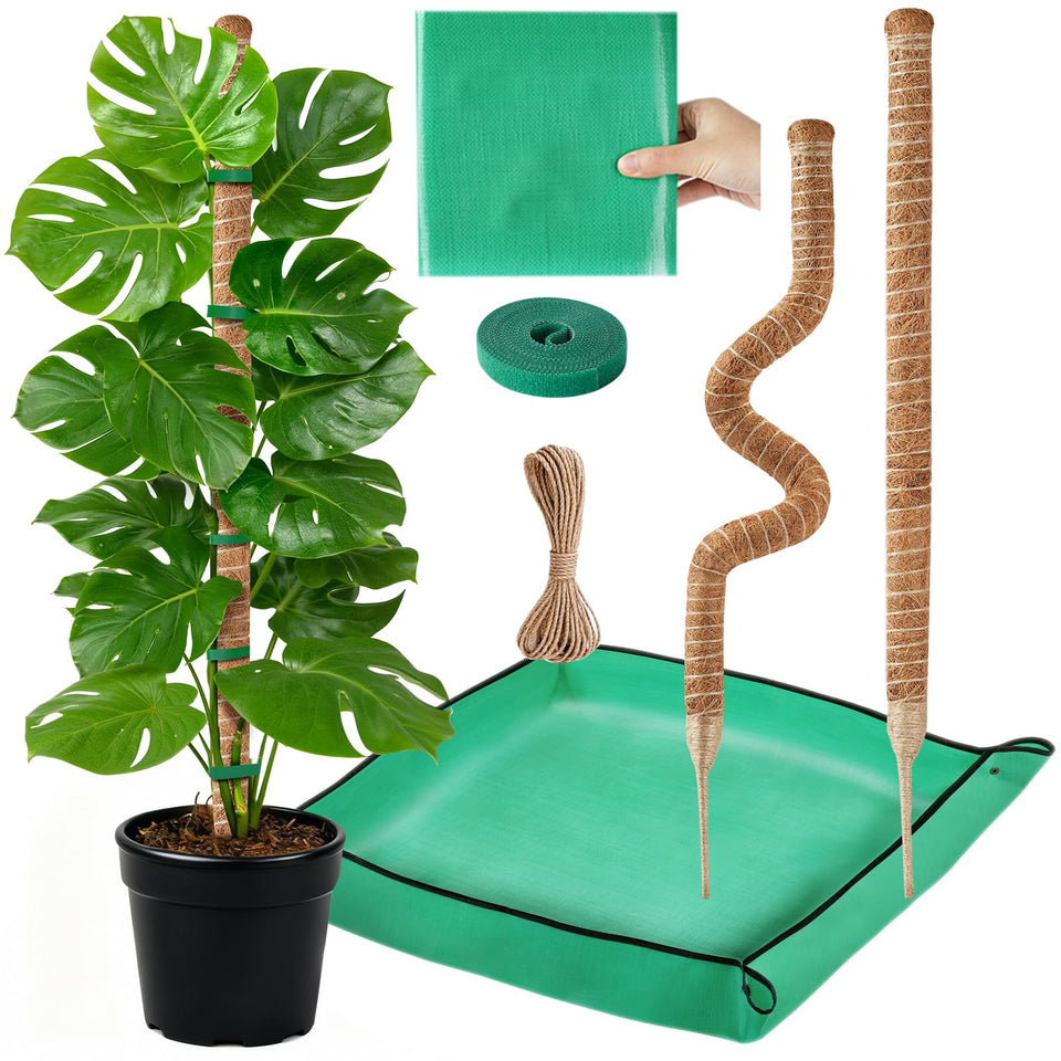 GUIDOT moss pole supports Monstera vines for sturdy indoor climbing