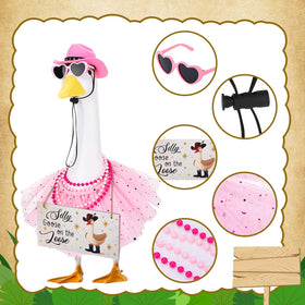 Guiqulai pink heart glasses for goose, adds whimsy and sun protection.