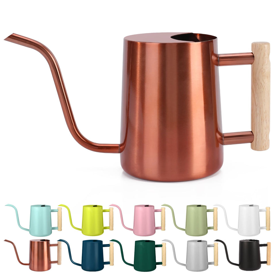 GUKJOB watering can with long spout for precise indoor plant watering