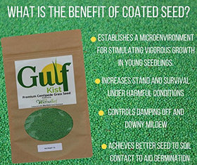Gulf Kist Centipede Seed germination detail shows even seed distribution.