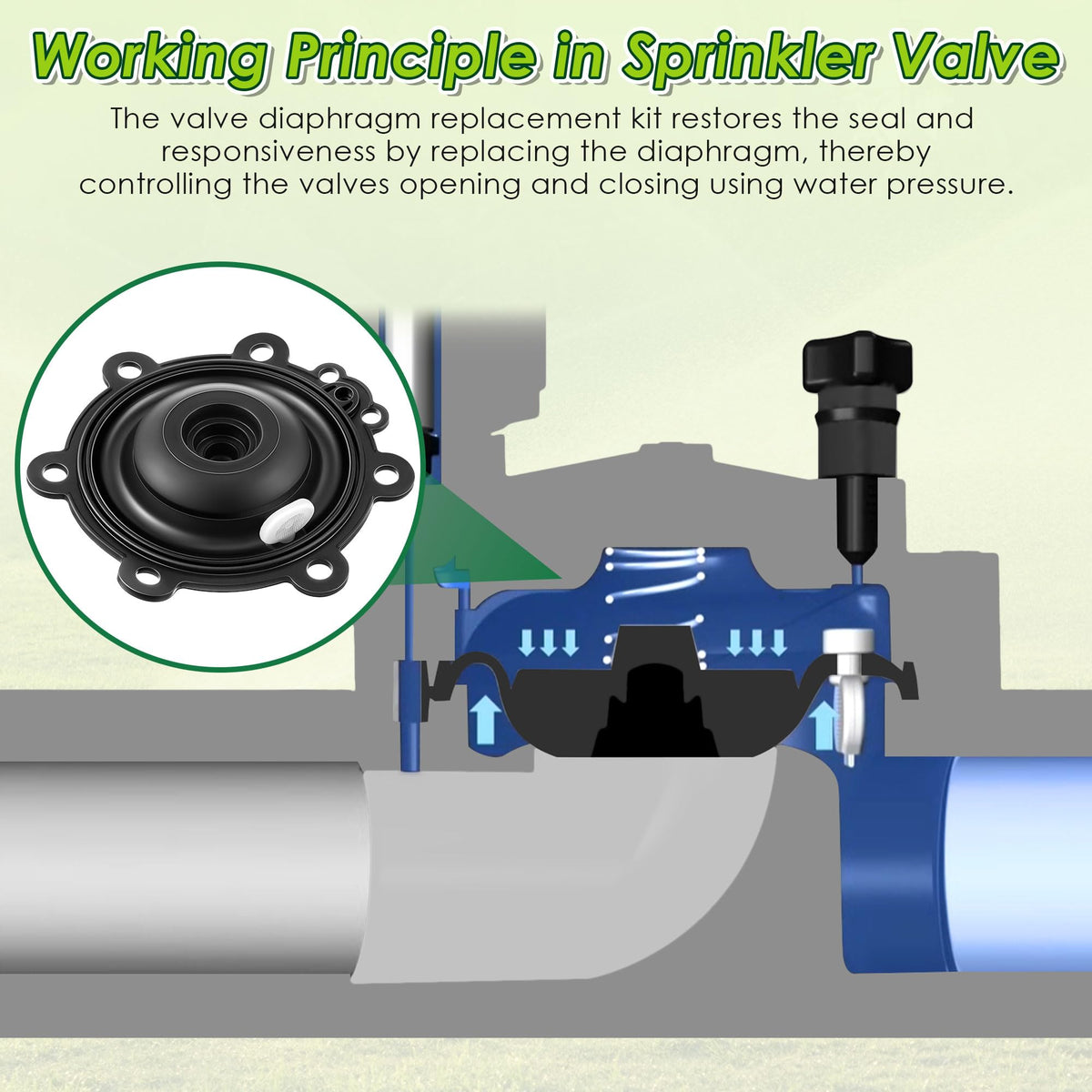 Gulfmew solenoid filter piece shown for better valve protection.