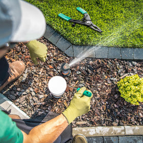 Gulfmew pull up tool lifting a sprinkler head for easy nozzle exposure