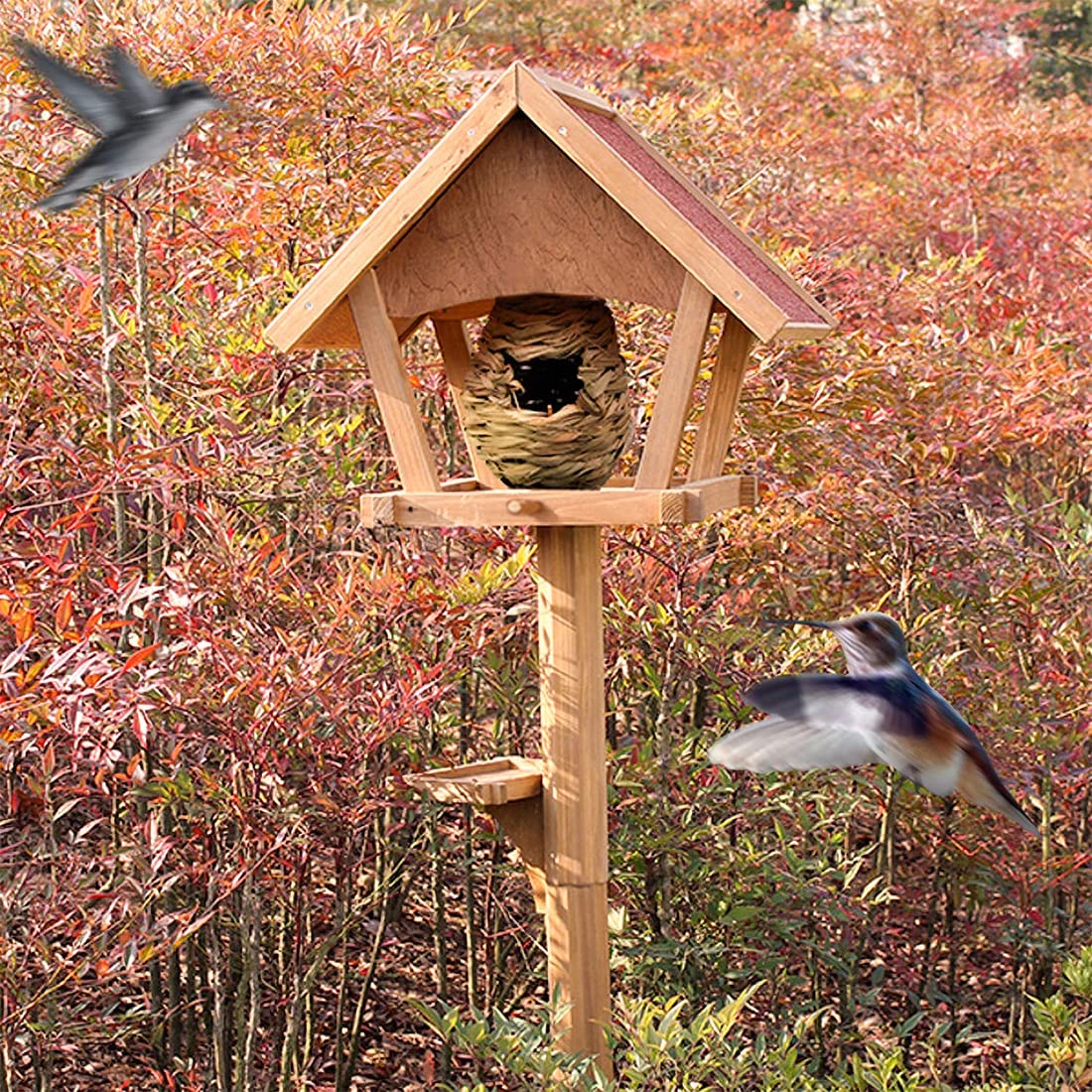Gute Hummingbird House handwoven craft showcases unique bird sanctuary.