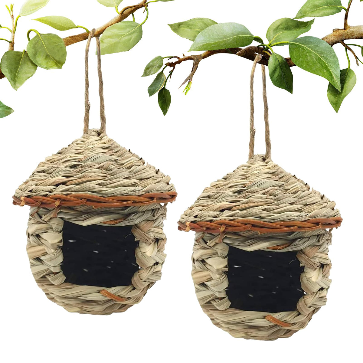 Gute Hummingbird House hanging outdoors highlighting natural hibiscus grass for nesting