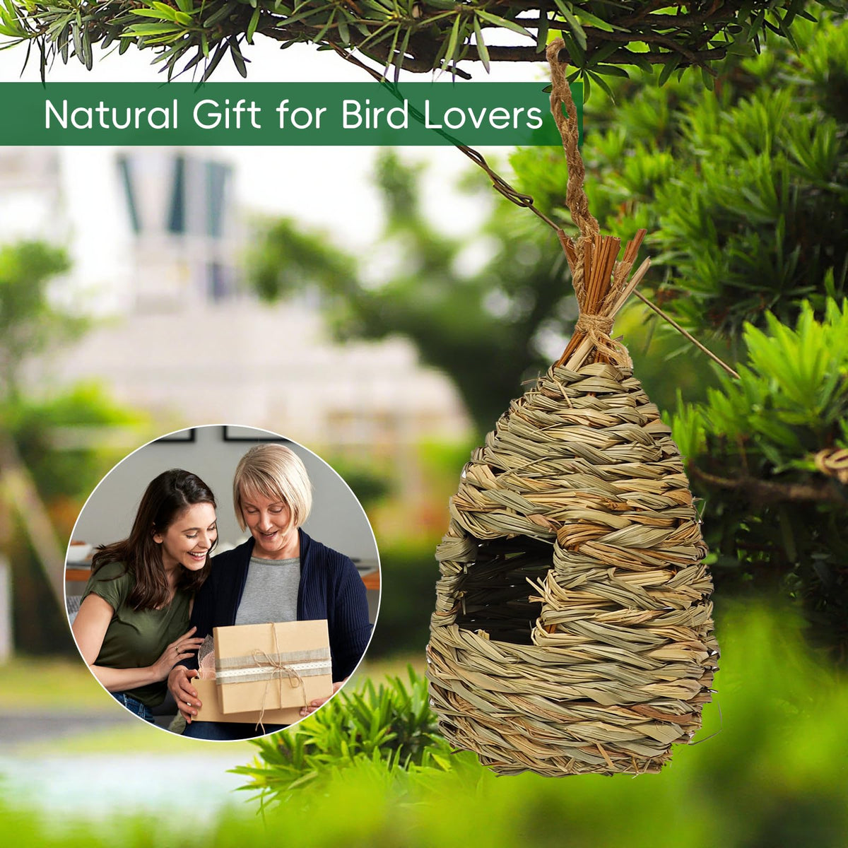 Gute hummingbird houses garden window décor that invites birds to visit.