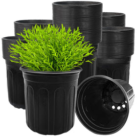 Guuozzli 1-gallon seedling pot with 6.5 inch opening, ideal for easy transplanting.