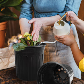 Guuozzli indoor/outdoor containers for herbs, vegetables, and flowers.