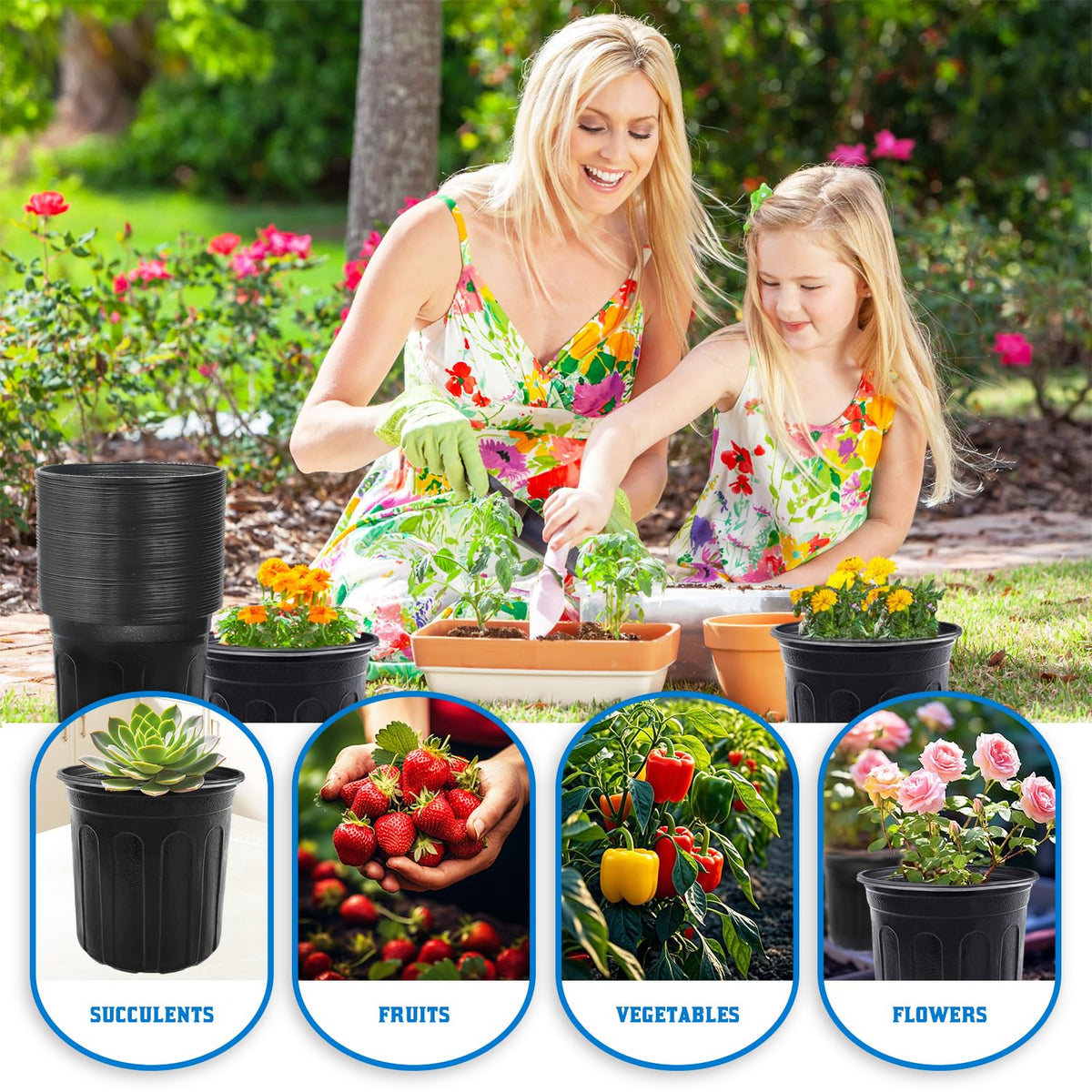 Guuozzli ideal for succulents and cuttings in roomy 1 gallon.