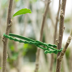 GXXMEI plant ties help training vines safely.