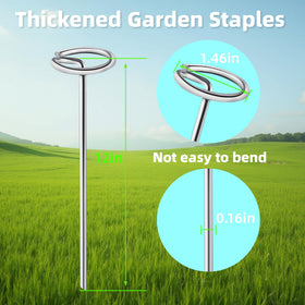 GXZKLMMY 8-gauge galvanized stake resists bending in compact soil.