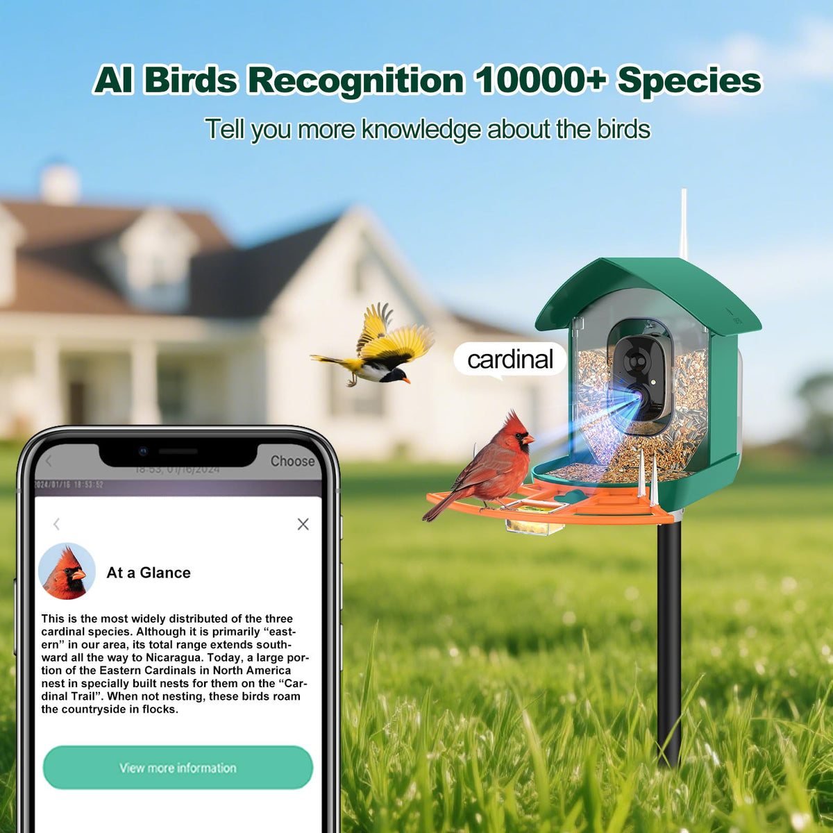 Gyozol Bird Feeder Camera side view highlighting compact design
