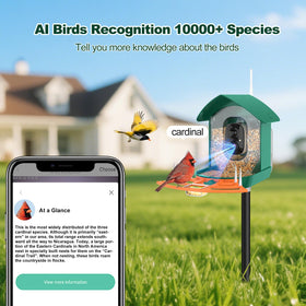 Gyozol Bird Feeder Camera side view highlighting compact design