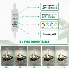 GYTF Halo adjustable pole extended demonstrates customizable height for diverse plant pots.