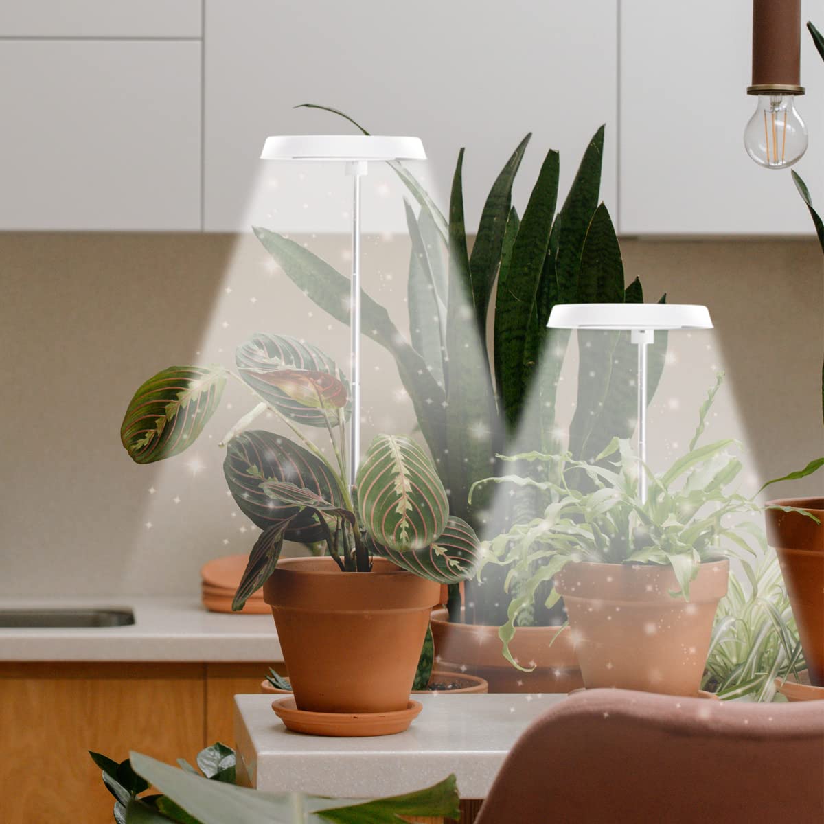 GYTF Halo full spectrum light simulates sunlight for thriving indoor plants.