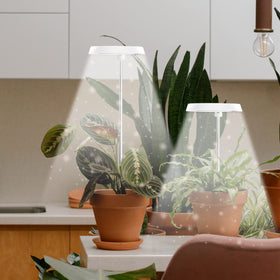GYTF Halo full spectrum light simulates sunlight for thriving indoor plants.