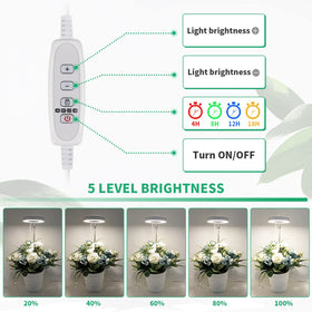 GYTF Halo LED beads close-up showing multi-spectrum for seedling development.