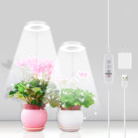 GYTF Halo plant grow light front view boosts indoor plant growth potential.