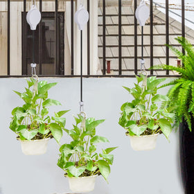 Haakong bird feeder hanger suitable for outdoor decks and gardens.