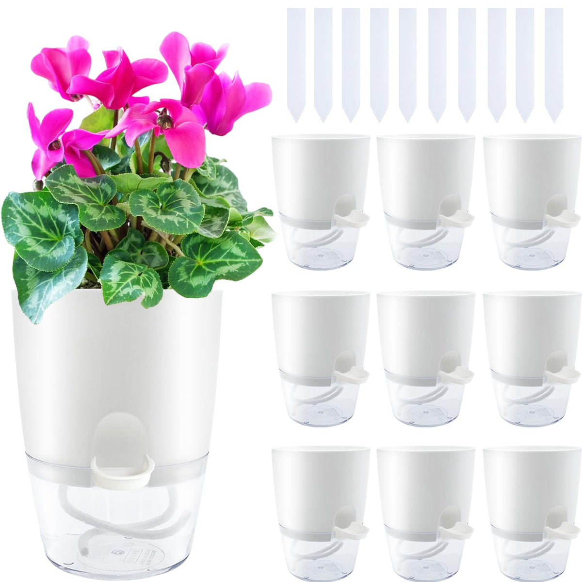Haawooky 10-pack clear self-watering planters ideal for small plants and herbs.