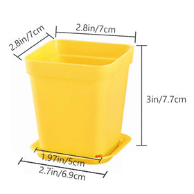 Haawooky square blue plant pot ideal for desk seedlings