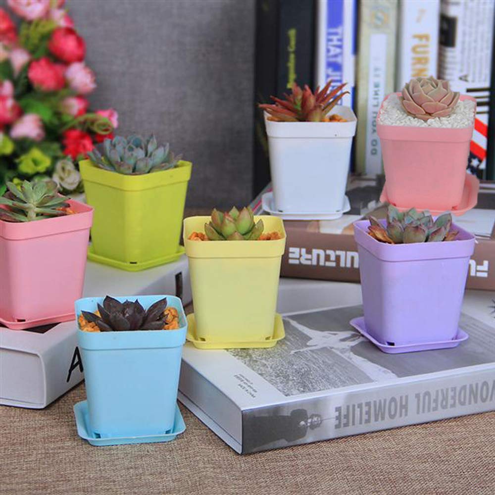 Haawooky square purple plant pot for vibrant arrangements