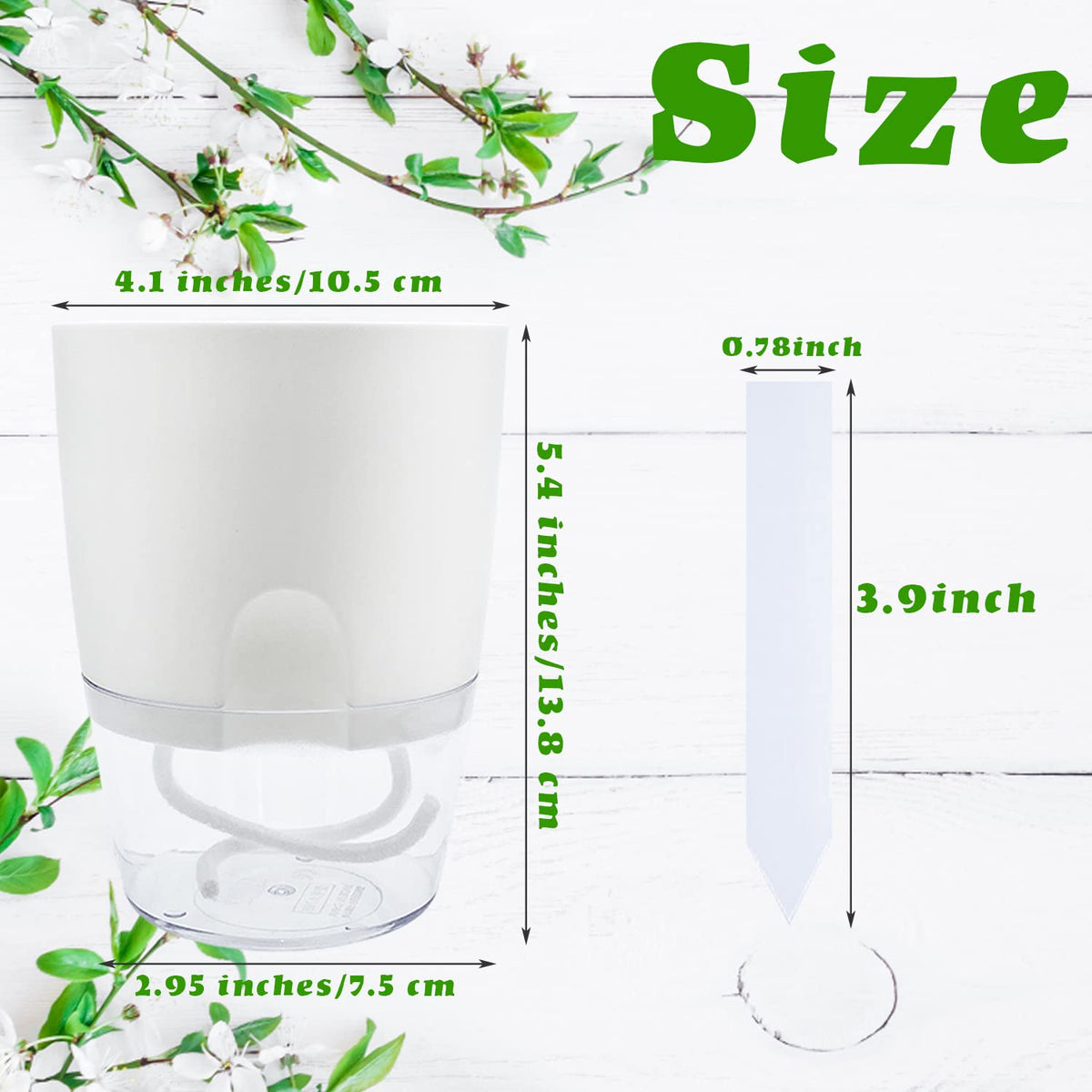 Haawooky 4.1-inch opening clear planter shows easy access for watering and maintenance.