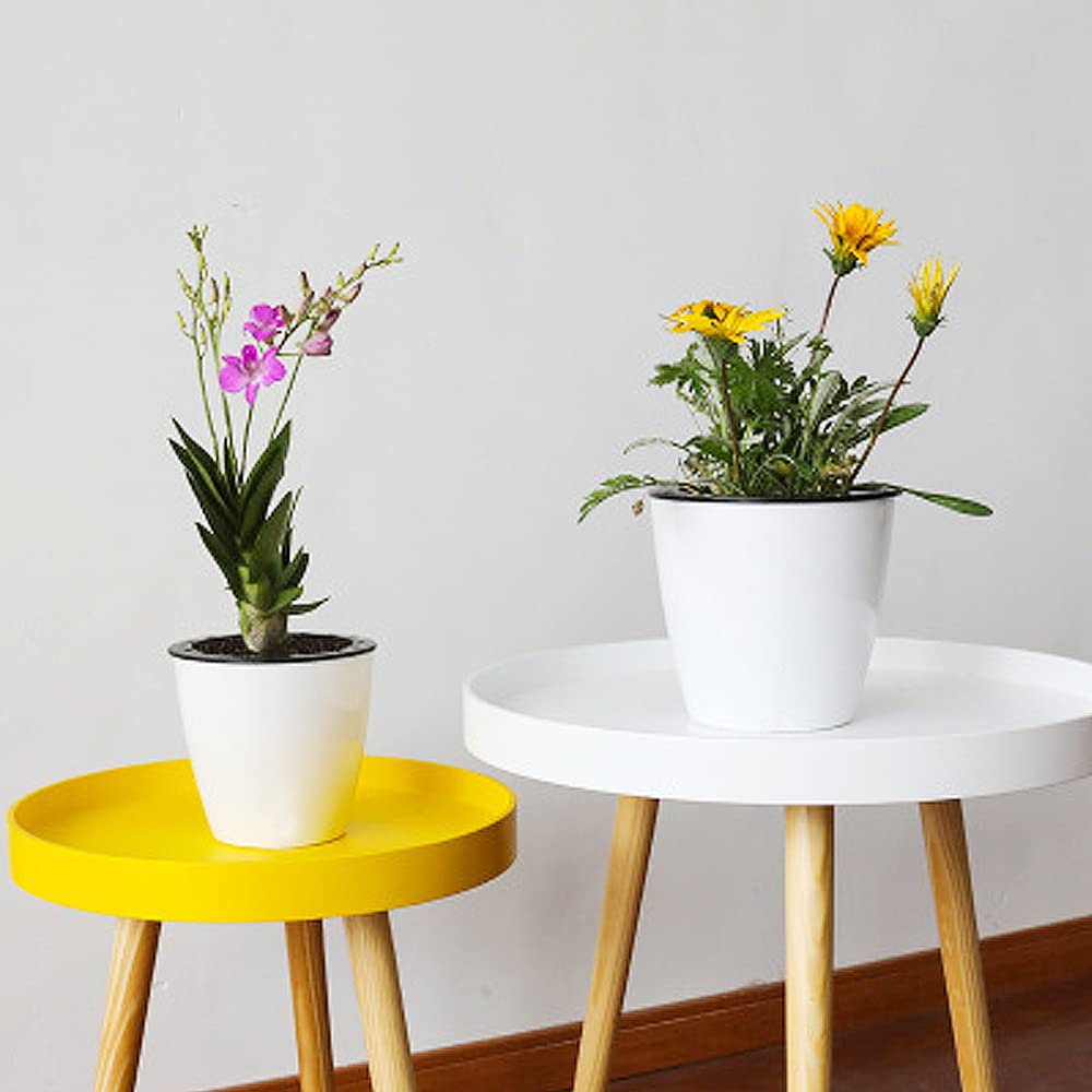 Haawooky gift-ready planter pack for plant lovers and home décor