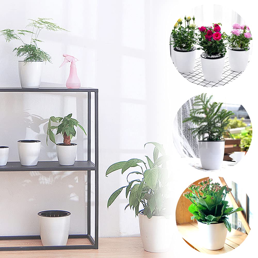Haawooky versatile pot for herbs, flowers, and succulents