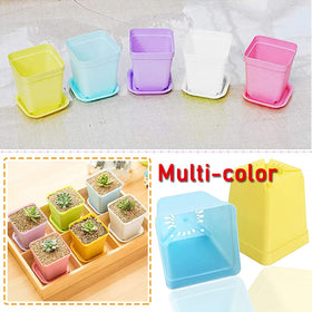 Haawooky office decor with square pots adds color and order