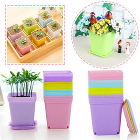 Haawooky packaging shows sturdy 48-piece set ready for gifting