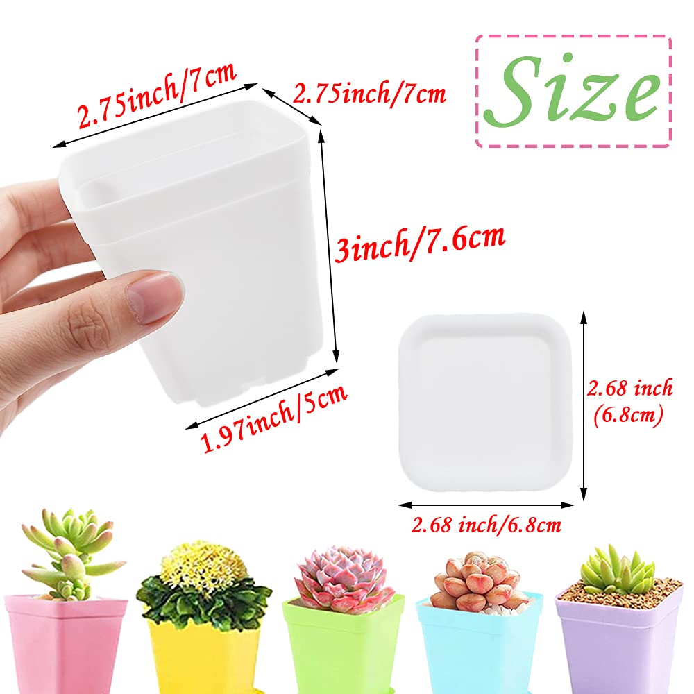 Haawooky square pot with drainage holes supports healthy root growth