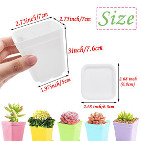 Haawooky square pot with drainage holes supports healthy root growth