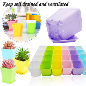 Haawooky pots ideal for succulents and herbs