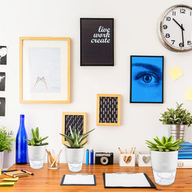 Haawooky stylish planters add a modern touch to home, office, or garden decor.