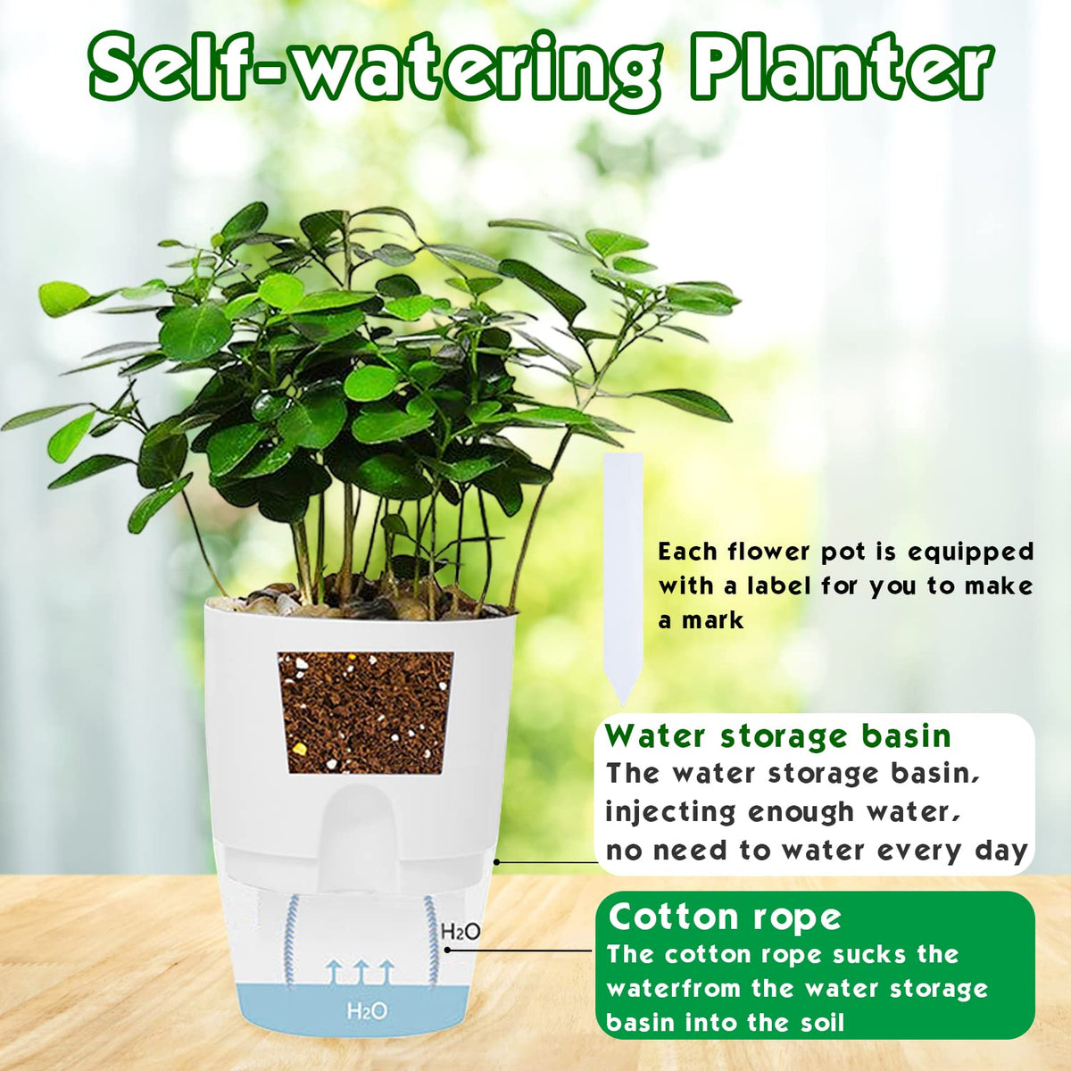 Haawooky transparent water storage base keeps roots breathable and monitor water levels at a glance.