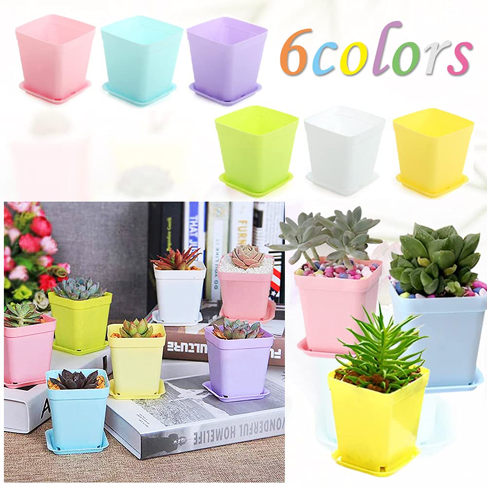 Haawooky square pots on a Windowsill brighten desks and spaces
