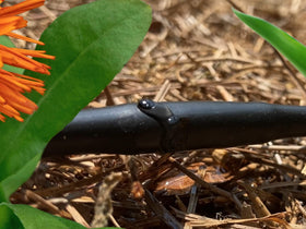 Habitech dripline shown buried for subsurface irrigation under mulch.