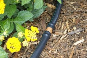 Habitech no-tools push-fit drip line connectors for easy installation.