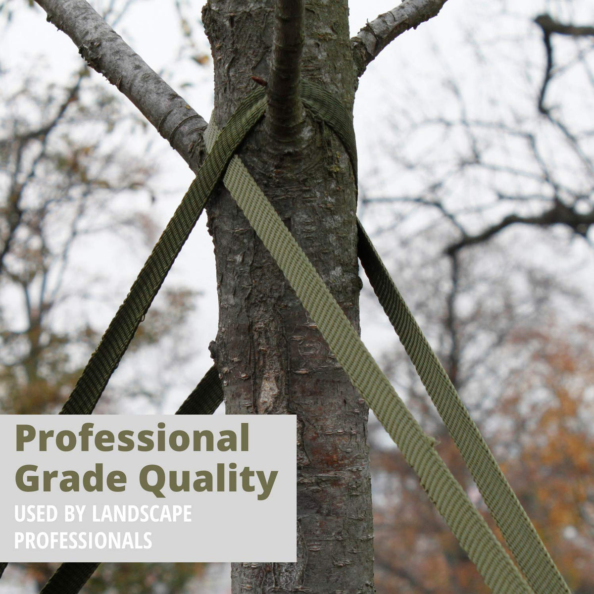 Habitech strap stabilizing a mature tree against wind without bark damage