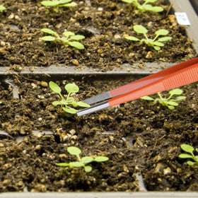 HADIZ ergonomic garden tweezers with comfortable grip reduce hand fatigue during tasks