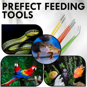 HADIZ succulent propagation tweezers help handle tiny cuttings with care