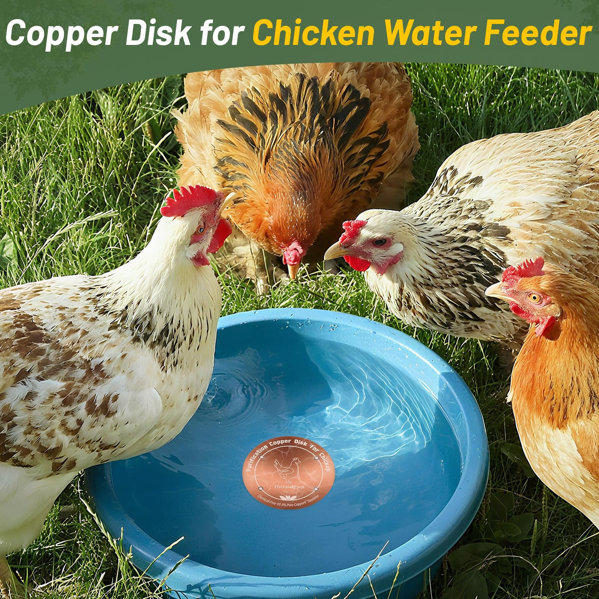 HAEZU disk provides 360-degree exposure for comprehensive copper contact.