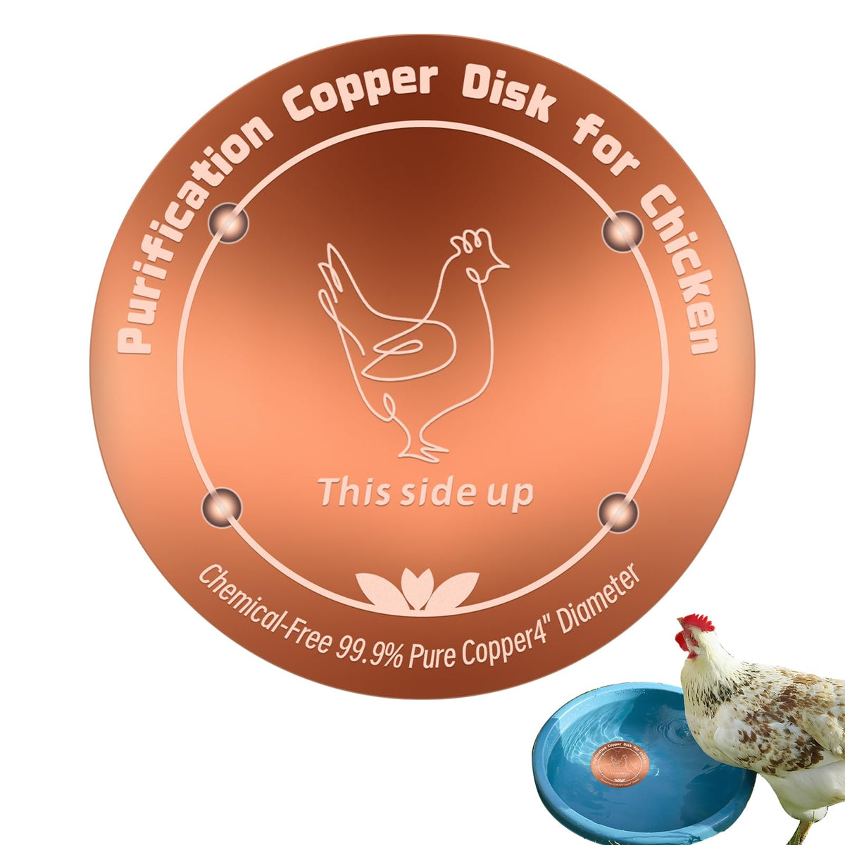 HAEZU copper disk for chicken waterer with 4-inch diameter improves water contact.