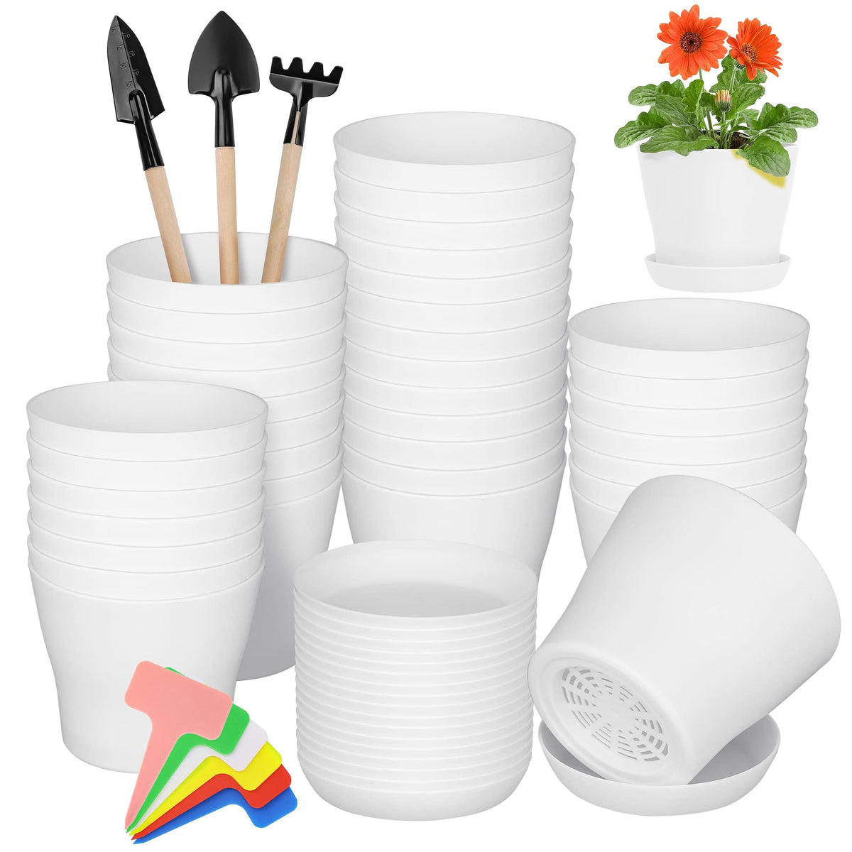 Hahood 36-pack pots with trays for organized seedling cultivation