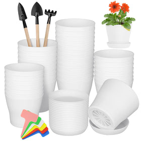 Hahood 36-pack pots with trays for organized seedling cultivation