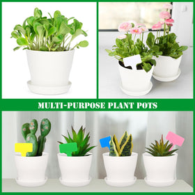 Hahood compact seedling kit suitable for home and office gardens