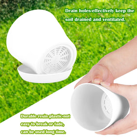 Hahood pots with drain holes and trays prevent overwatering